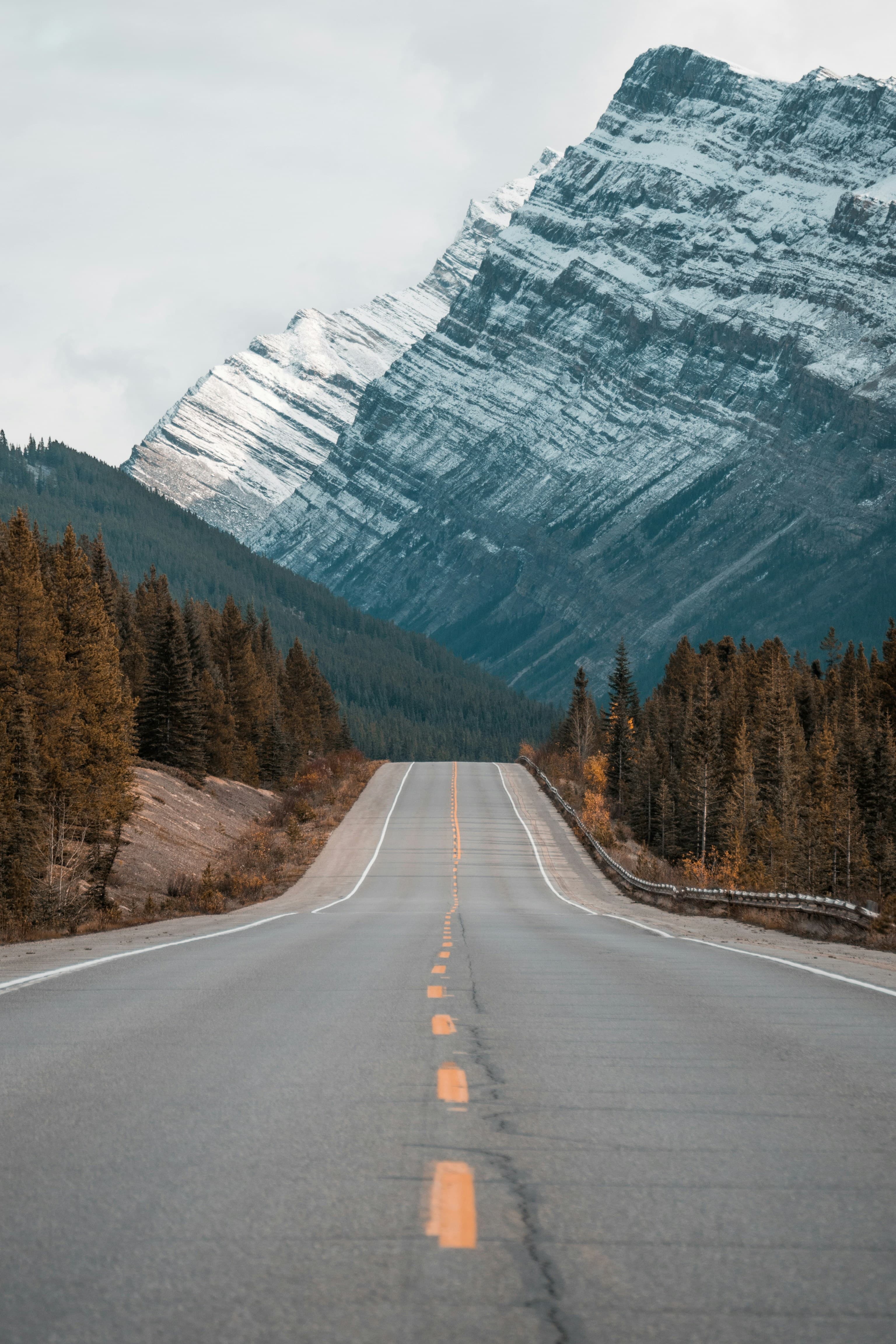 Travel scene